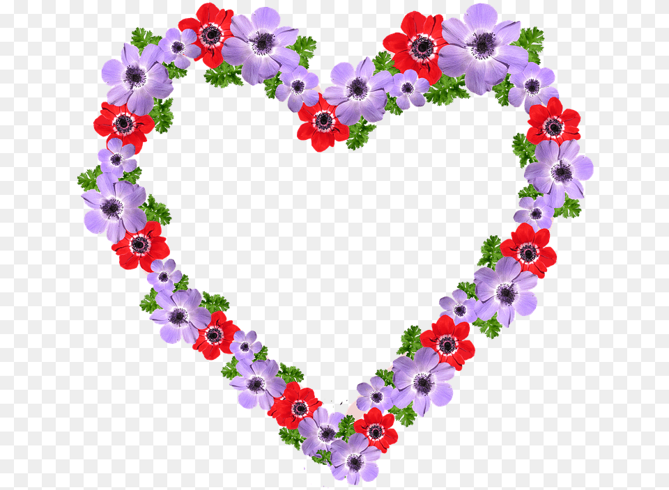 Floral Heart Frames, Flower, Plant, Art, Floral Design Free Png