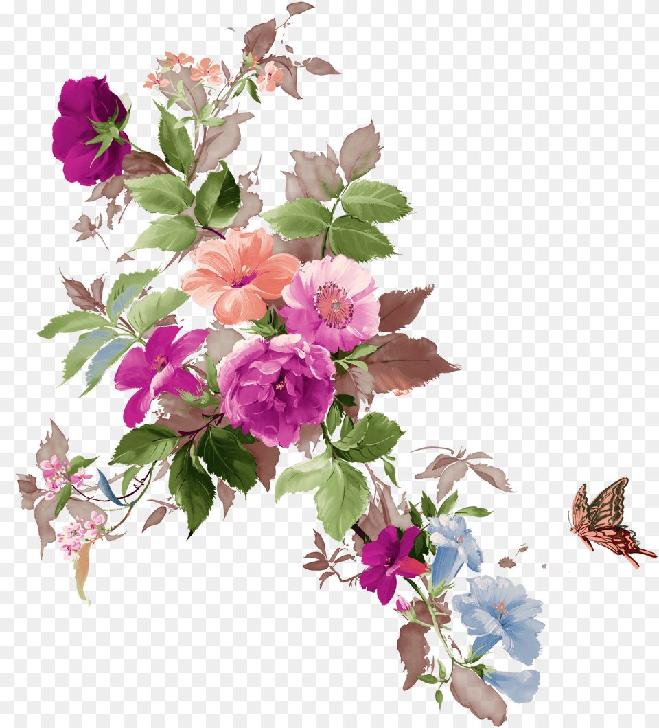 Floral Flower, Plant, Geranium, Flower Bouquet, Flower Arrangement Png Image