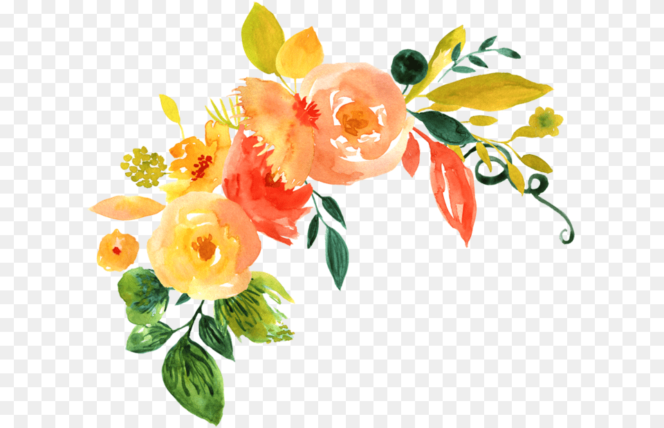 Floral Orange Watercolor Flowers, Art, Floral Design, Flower, Flower Arrangement Png
