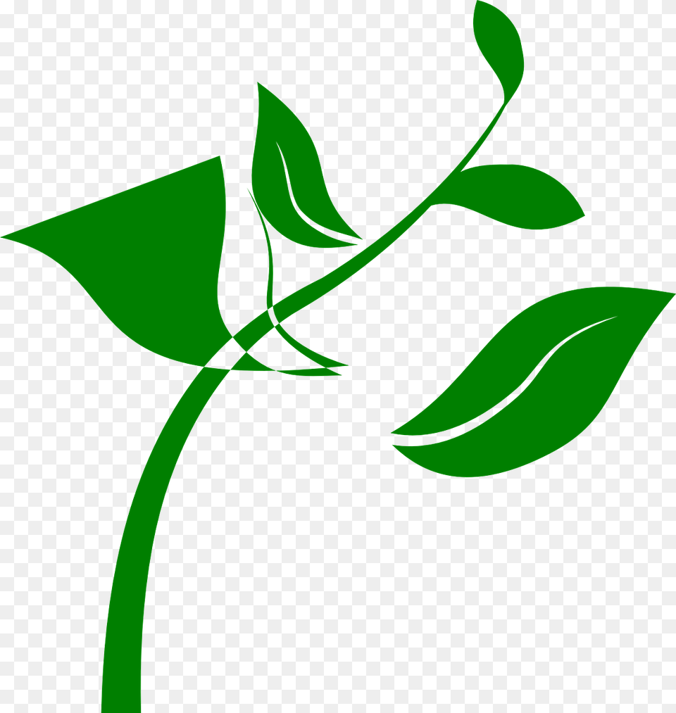 Floral Ornament, Green, Herbal, Herbs, Leaf Png