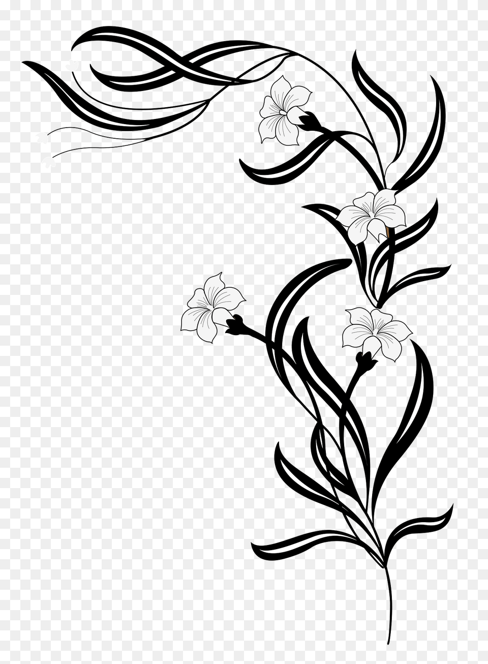 Floral Ornament Clipart, Art, Floral Design, Graphics, Pattern Png