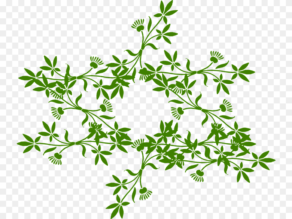 Floral Ornament Star Green Leaves Blossoms Ayurvedic Book In Hindi, Art, Floral Design, Graphics, Pattern Png Image