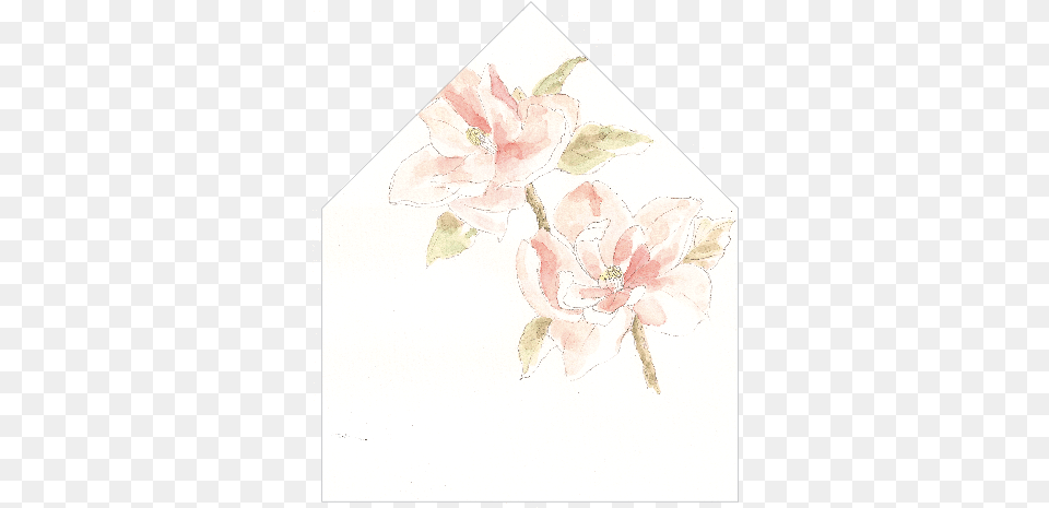 Floral Painting Lily, Greeting Card, Envelope, Mail, Pattern Free Png Download