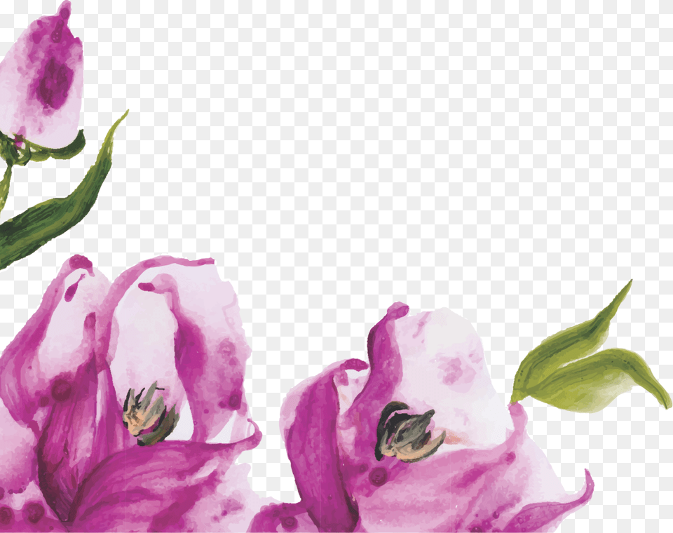 Floral Para Baixar Lils Border For Wedding Purple, Flower, Petal, Plant, Geranium Png