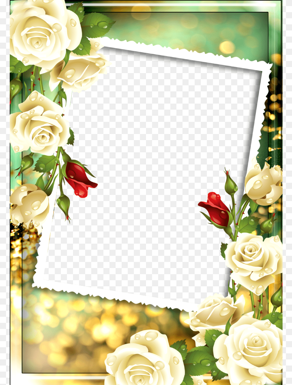 Floral Photo Frame, Envelope, Flower, Greeting Card, Mail Png Image