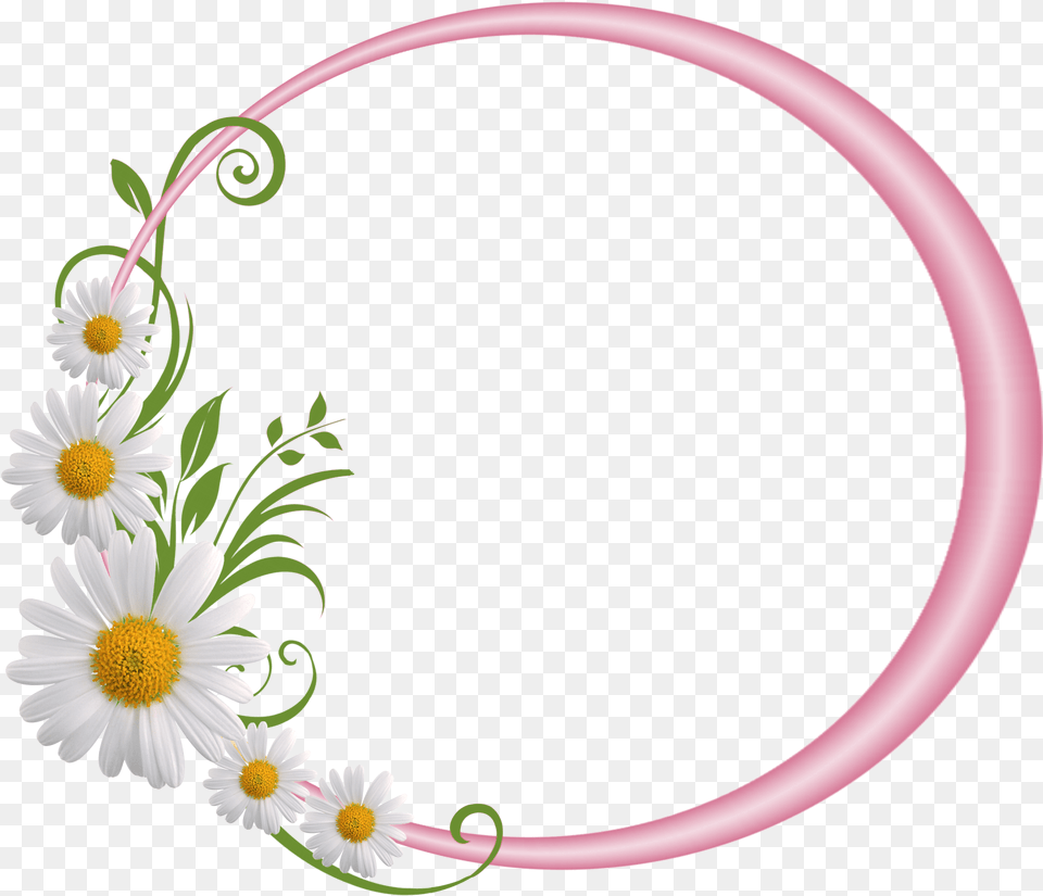 Floral Round Frame File Flower Photo Frame Round, Daisy, Plant, Pattern, Art Free Png