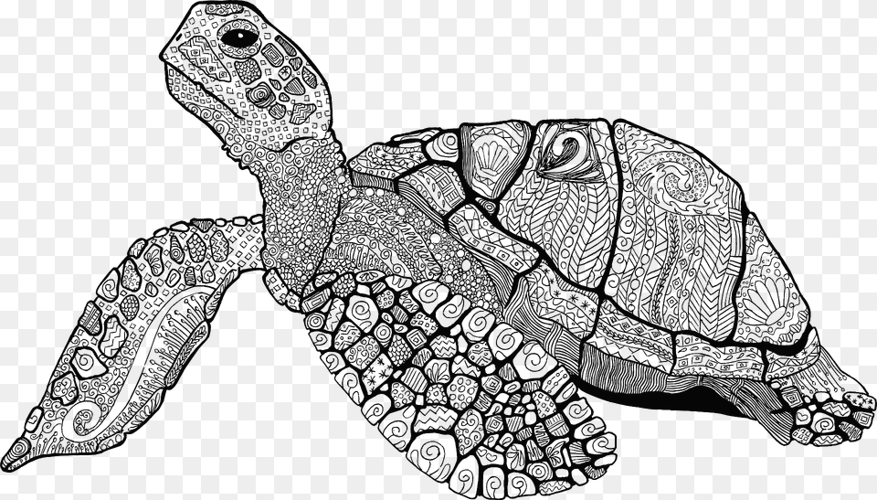 Floral Sea Turtle Black And White Clipart, Animal, Reptile, Sea Life, Sea Turtle Png Image