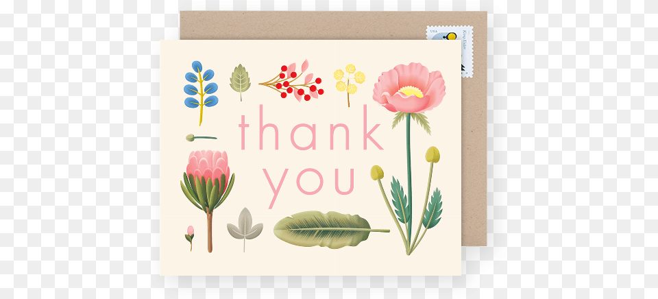 Floral Thank You Card Greeting Card, Envelope, Greeting Card, Mail, Plant Png