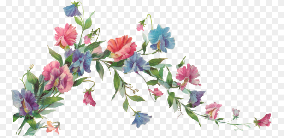 Floral Transparent Clipart Vectors Vine With Flowers Painting, Art, Petal, Pattern, Graphics Free Png Download