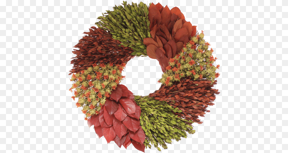 Floral Treasure Wreaths Horizontal, Wreath, Banana, Food, Fruit Png