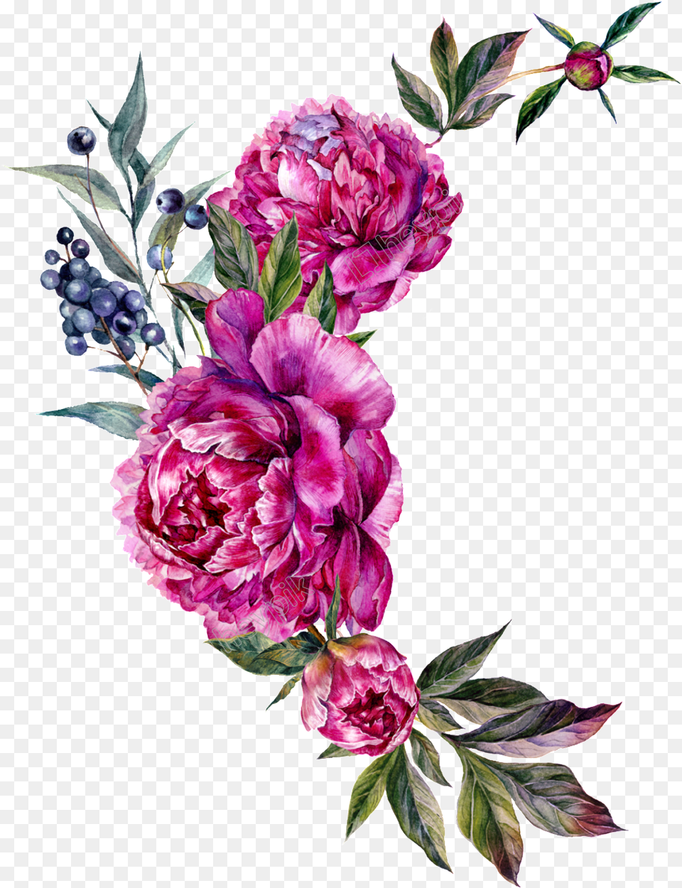 Floral Vector Peony Peony Bouquet Clipart, Plant, Flower, Art, Pattern Free Transparent Png