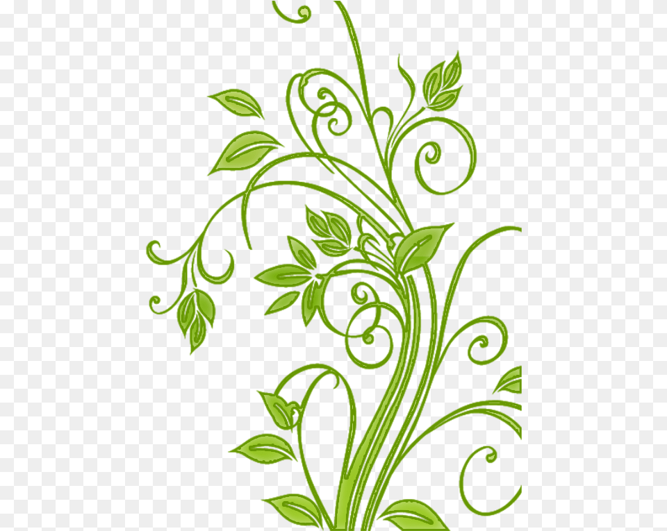 Floral Vector Picture Floral Leaf Vector, Art, Floral Design, Graphics, Green Free Png