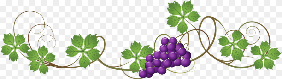 Floral Vines Uvas De Primera Comunion, Food, Fruit, Grapes, Plant Free Png Download
