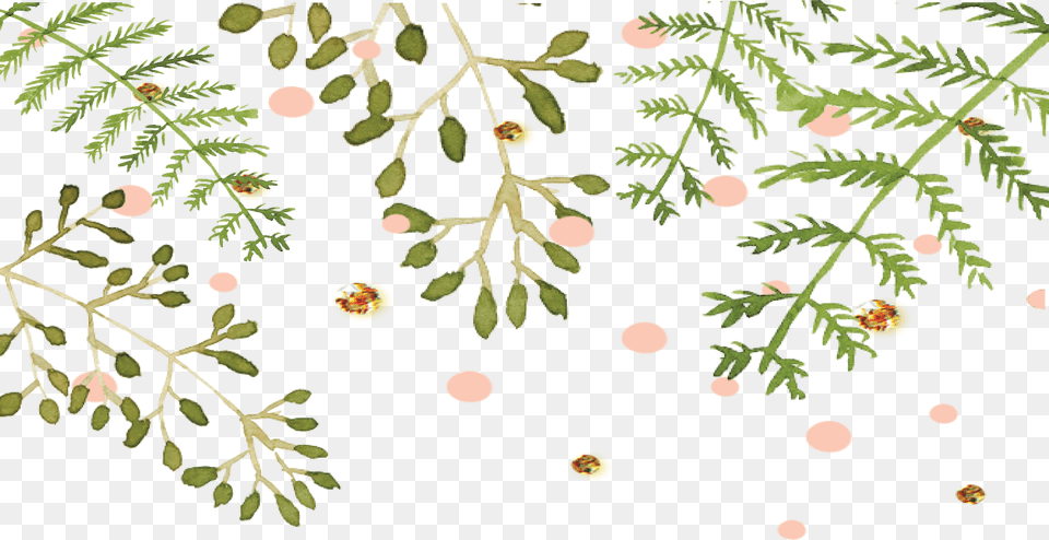 Floral W Dots Pink Green Gold Pink And Green Floral, Herbs, Plant, Herbal, Leaf Free Png