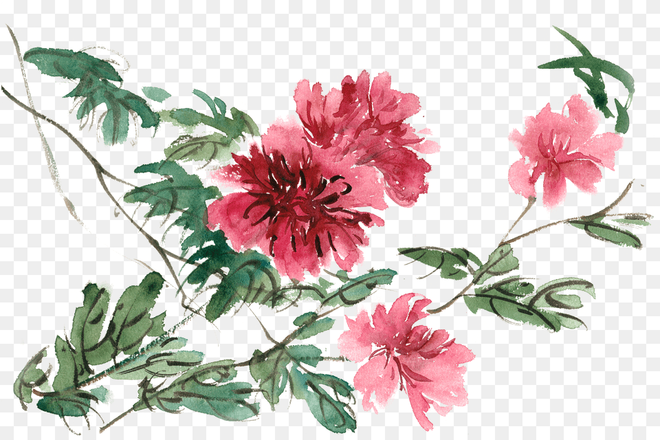 Floral Watercolor, Chart, Plot, Text Png