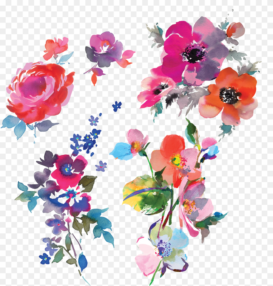 Floral Watercolor Image Watercolor Florals, Art, Floral Design, Pattern, Graphics Free Png