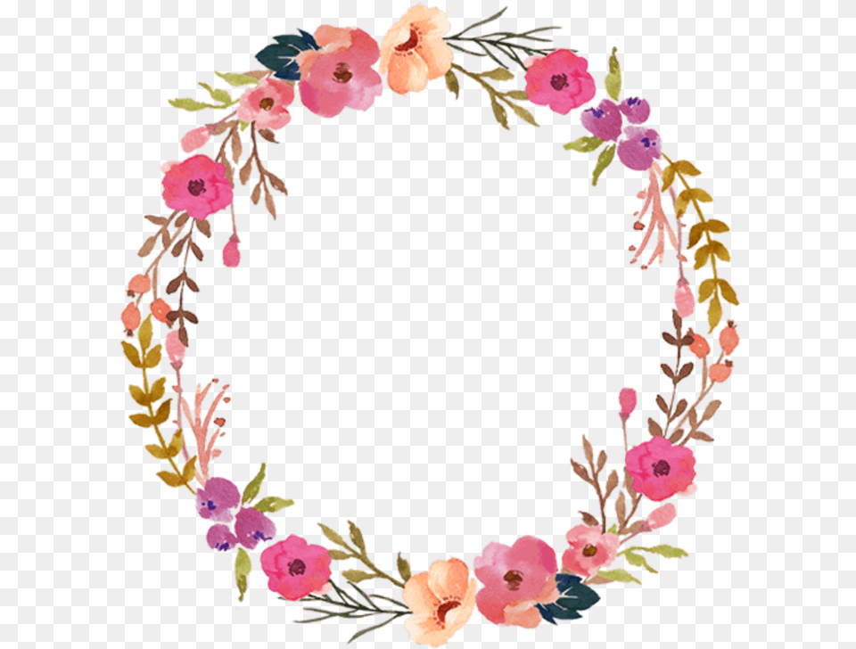 Floral Wreath Transparent Background Floral Circle, Flower, Plant, Accessories, Rose Png