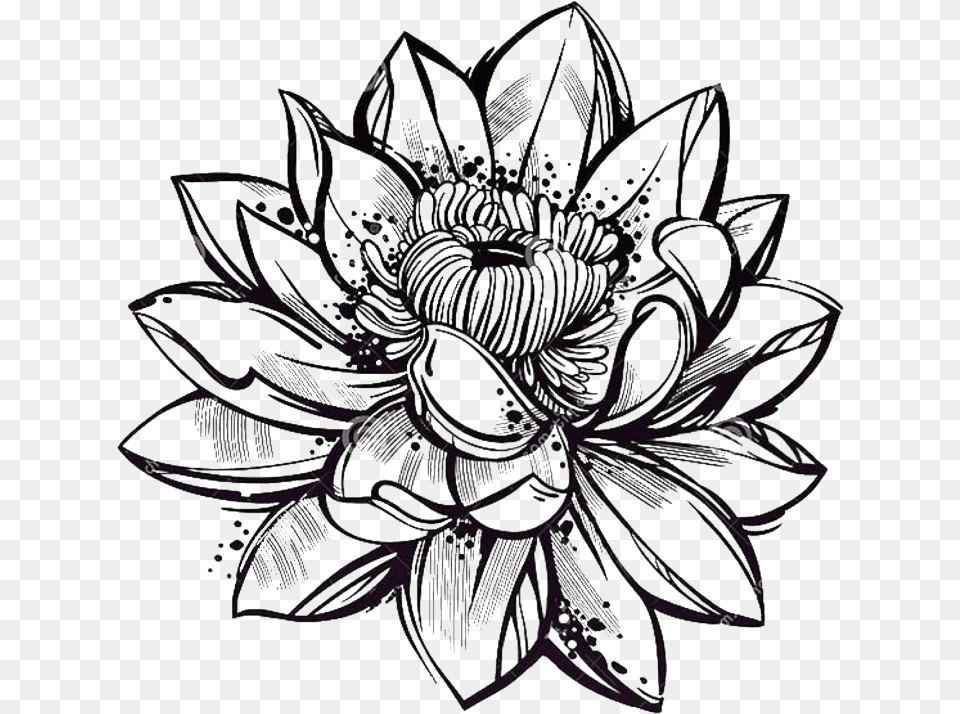 Flordeloto Lotus Sketch Style, Art, Accessories, Emblem, Symbol Png Image