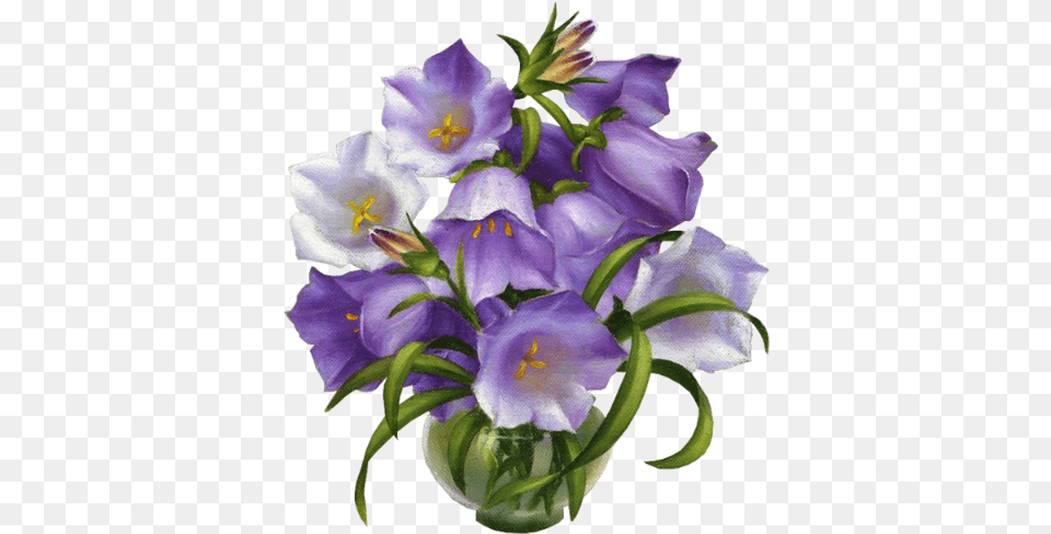 Florea Encontradas En La Web Kruglie Kartinki Cveti Dlya Dekupazha, Flower, Iris, Plant, Petal Png