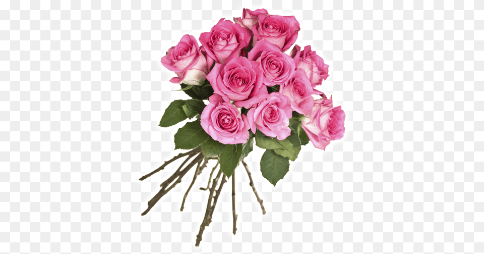 Florera De La Rosa Flower, Flower Bouquet, Rose, Plant, Flower Arrangement Png