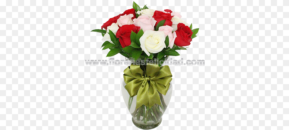 Florero 24 Rosas Rojas Blancas Y Rosas Mexico City, Flower, Flower Arrangement, Flower Bouquet, Plant Free Png Download