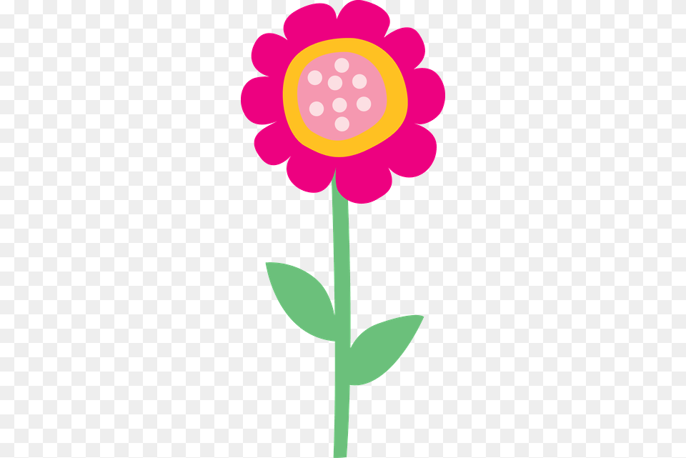 Flores, Dahlia, Daisy, Flower, Petal Png