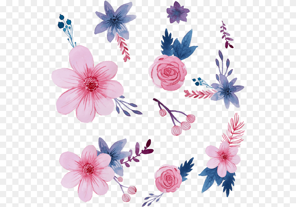 Flores Acuarela Fondos, Flower, Plant, Rose, Pattern Png Image