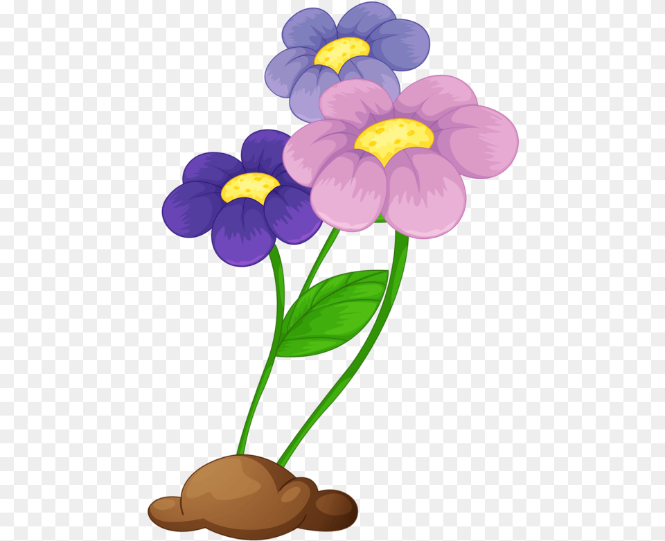 Flores Animadas Animadas De Un Flores, Anemone, Flower, Geranium, Plant Free Png