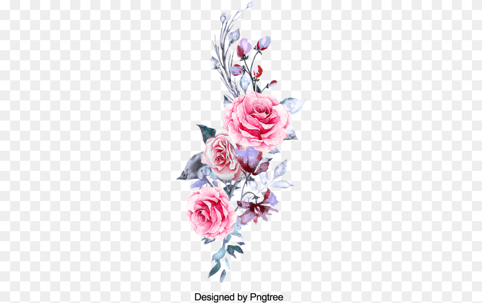Flores Aquarela Rosa, Flower, Flower Arrangement, Flower Bouquet, Plant Png
