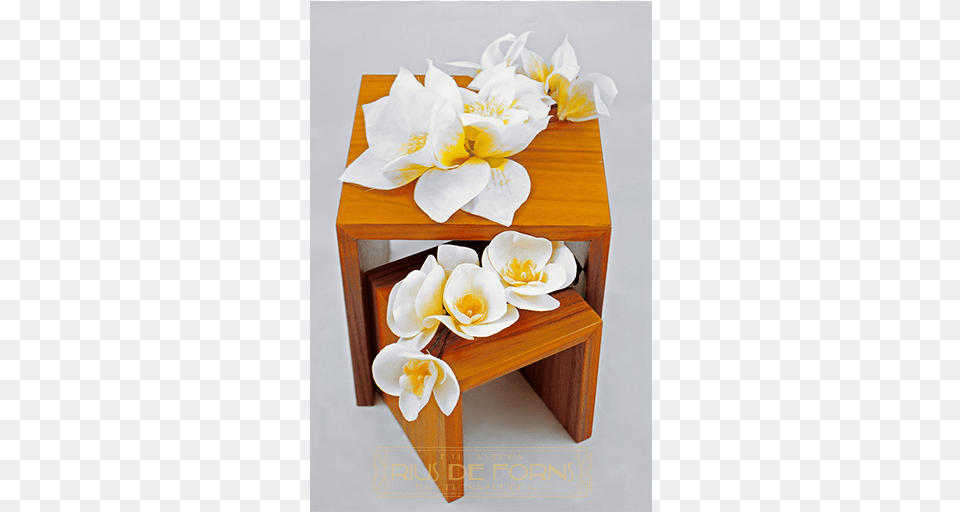 Flores Blancas Con Destellos Amarillos White, Coffee Table, Table, Plant, Furniture Free Png Download