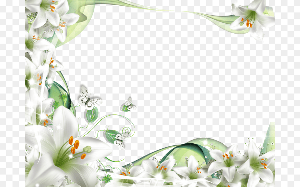 Flores Blancas Frame Psd, Anther, Flower, Plant, Art Free Png