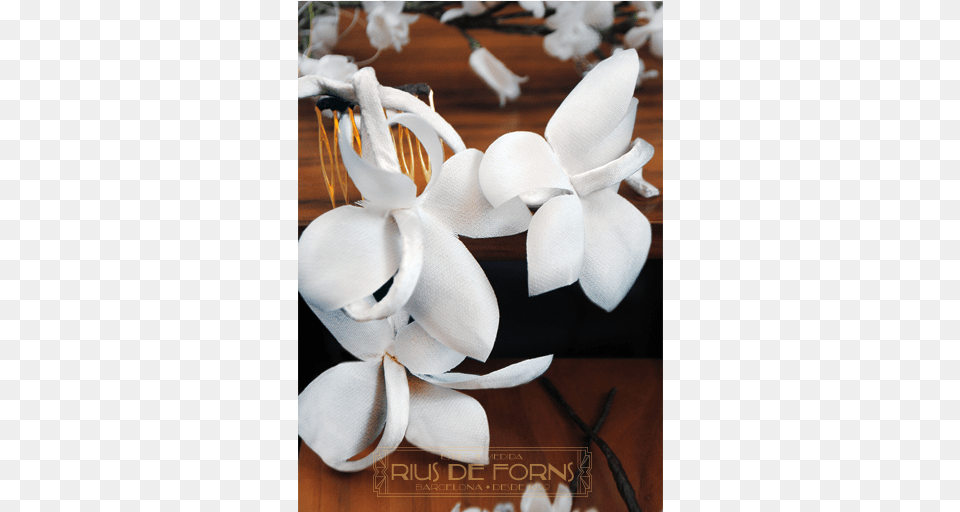 Flores Blancas Para Tocado Artificial Flower, Plant, Petal, Accessories, Flower Arrangement Free Transparent Png