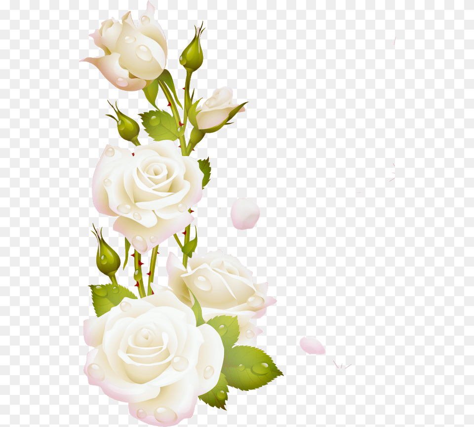 Flores Blancas Wish A Friend Happy Sunday, Flower, Flower Arrangement, Flower Bouquet, Plant Png Image