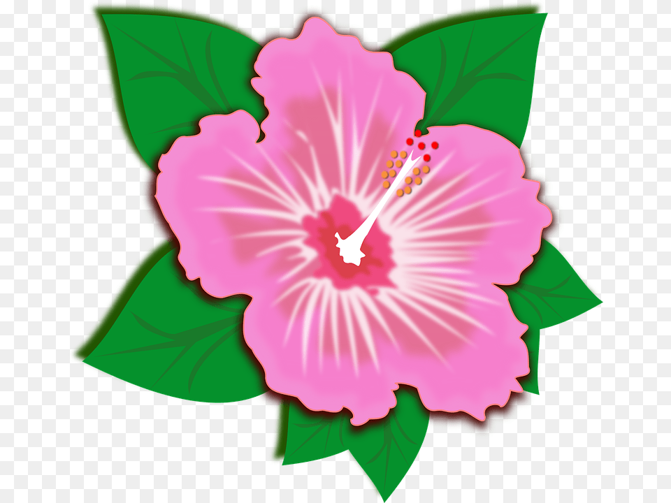Flores Clipart Group With Items, Flower, Hibiscus, Plant, Anther Free Png Download