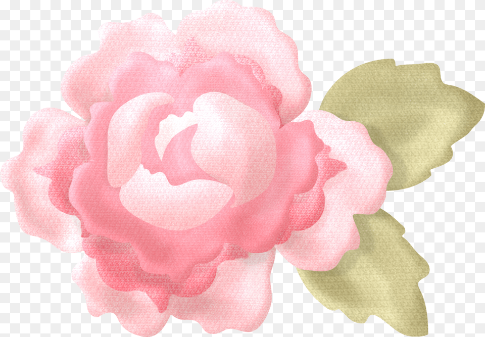 Flores Color Pastel, Flower, Plant, Rose, Petal Free Png Download