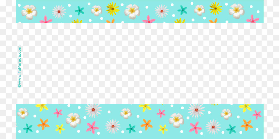 Flores Con Fondo Celeste African Daisy, Art, Floral Design, Graphics, Pattern Png