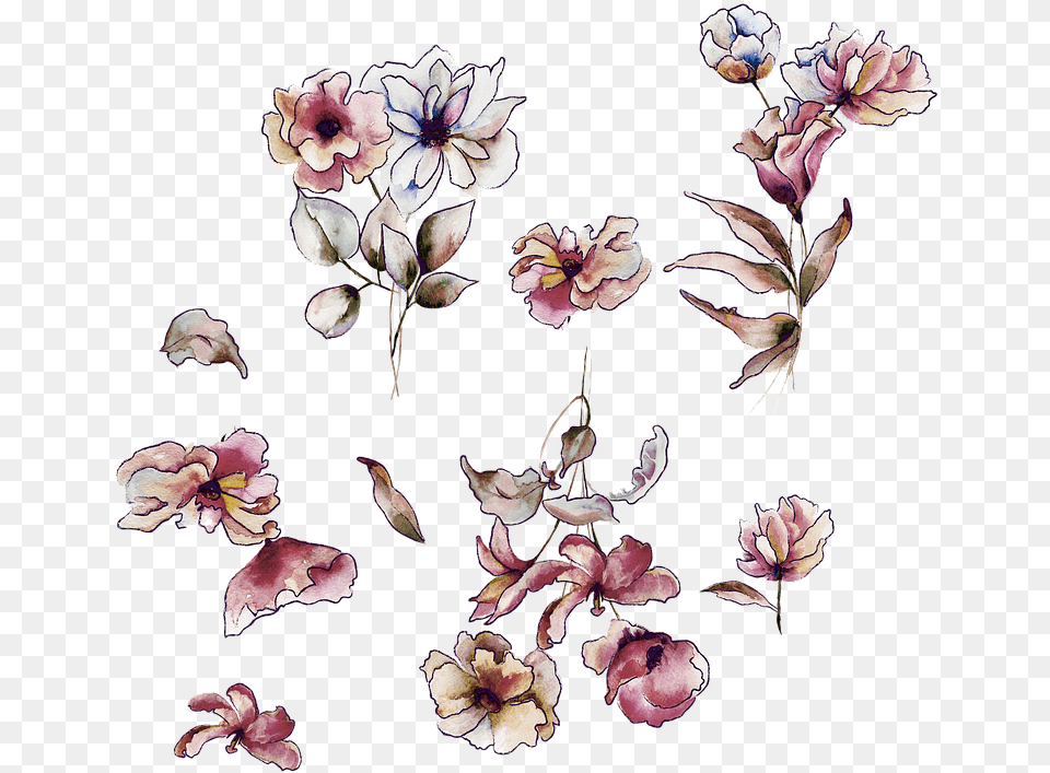 Flores De Acuarela Watercolor Painting, Plant, Petal, Flower, Pattern Free Transparent Png