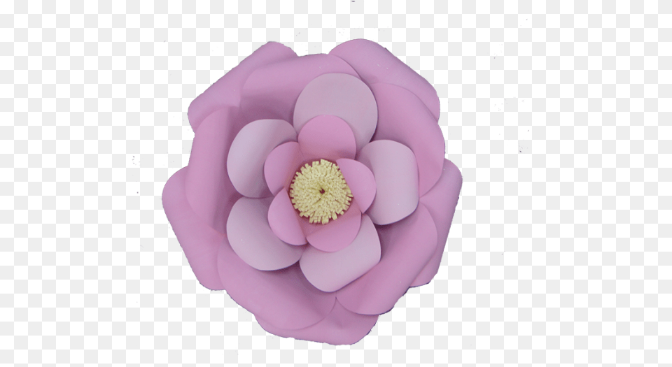 Flores De Cartulina Gnd Japanese Camellia, Plant, Flower, Petal, Dahlia Png Image