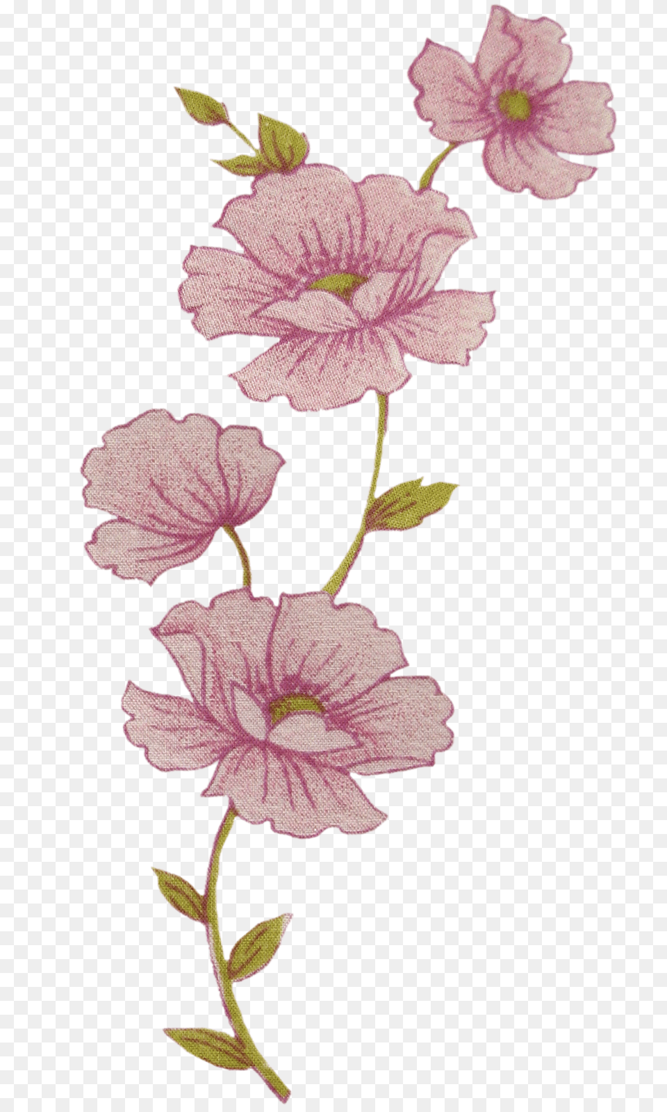 Flores De Tela Y Papel Rosas, Flower, Geranium, Plant, Acanthaceae Png Image