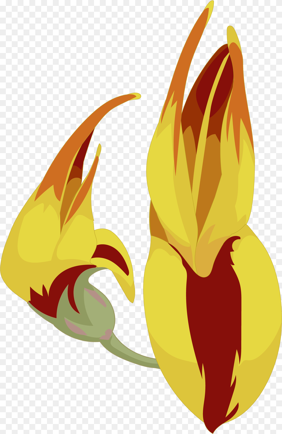 Flores Dibujo, Flower, Petal, Plant Png