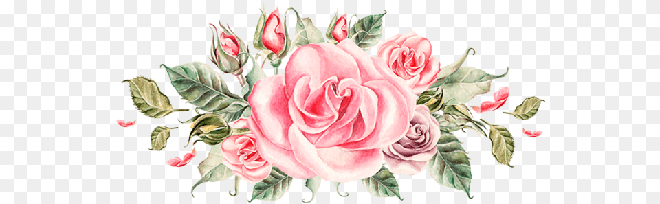 Flores Dibujo Bouquet Watercolor Painting Peony Rose Vector Flower, Flower Arrangement, Flower Bouquet, Plant, Art Free Png