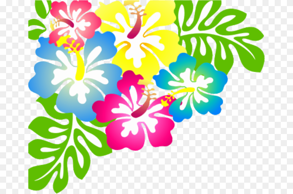 Flores Hawaii, Flower, Plant, Hibiscus Free Transparent Png