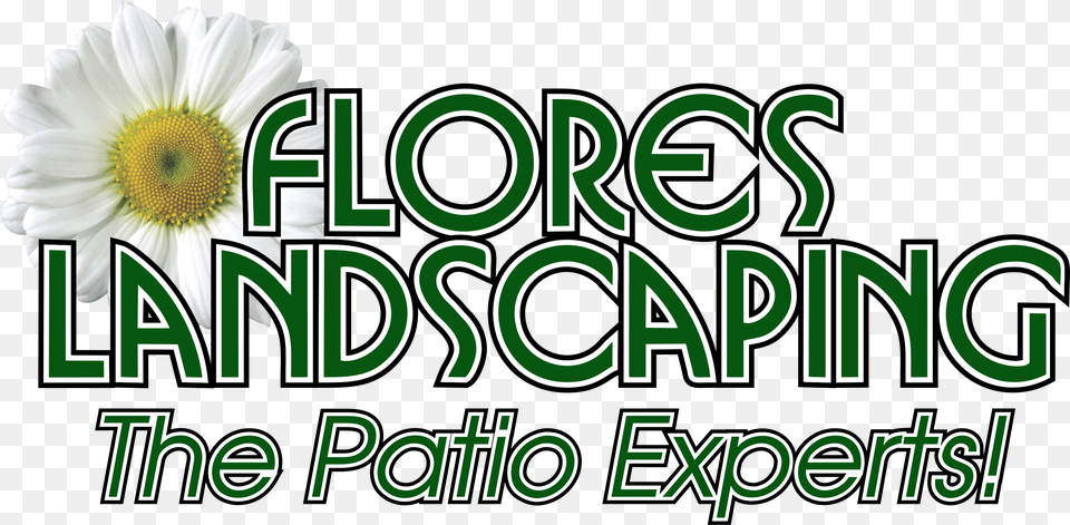 Flores Landscaping Services Inc Logo, Daisy, Flower, Herbal, Herbs Png