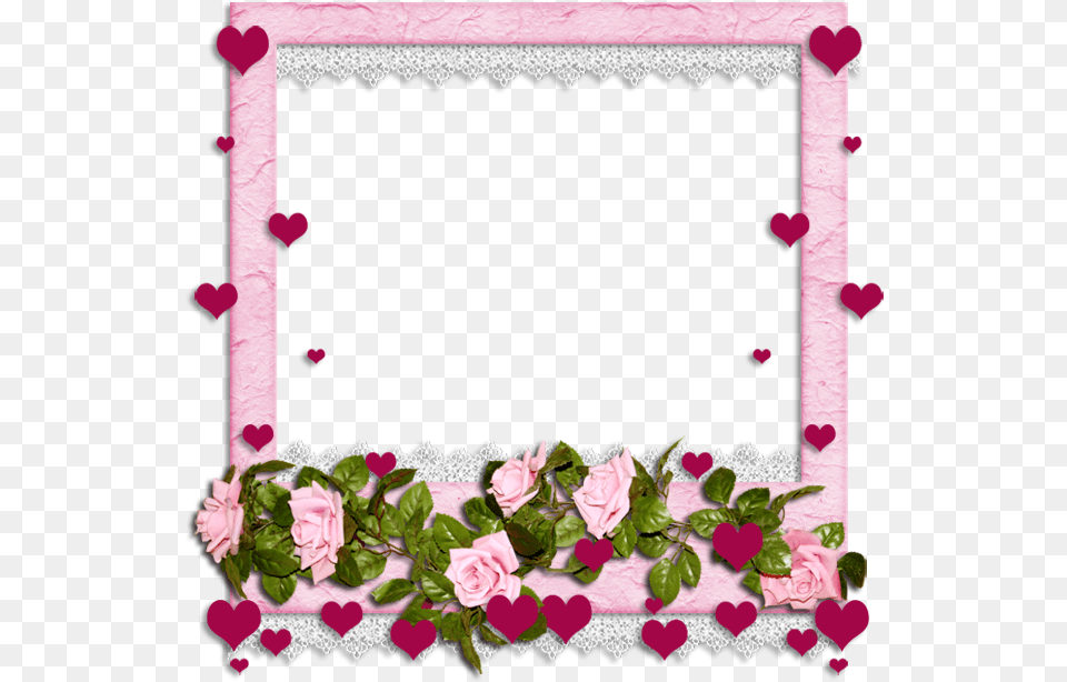 Flores Marcos Decoraciones, Flower, Plant, Rose Free Png