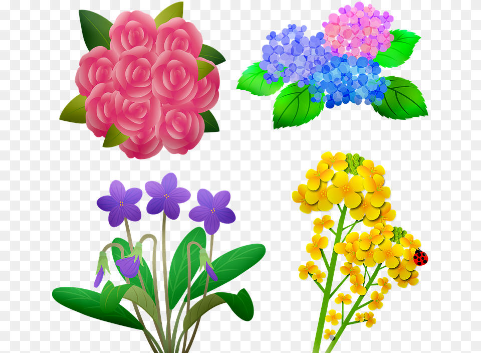 Flores Para Mam, Art, Plant, Pattern, Graphics Free Png Download