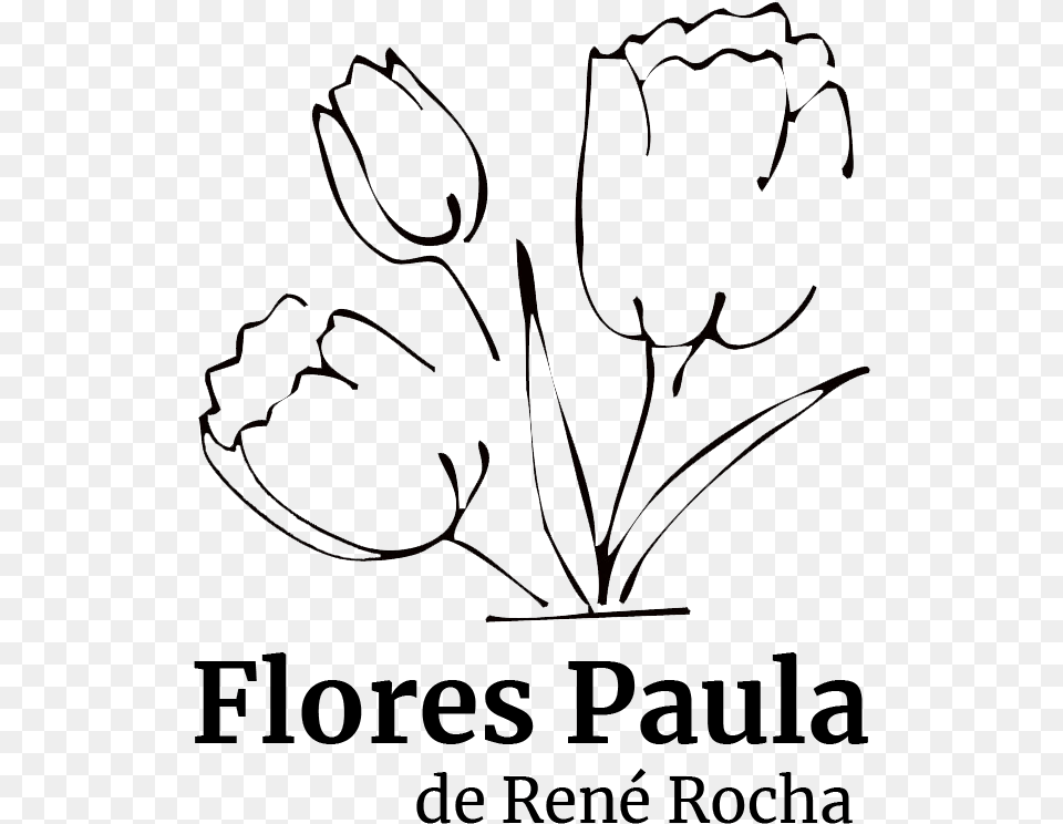 Flores Paula Tulip, Flower, Plant, Art, Drawing Png