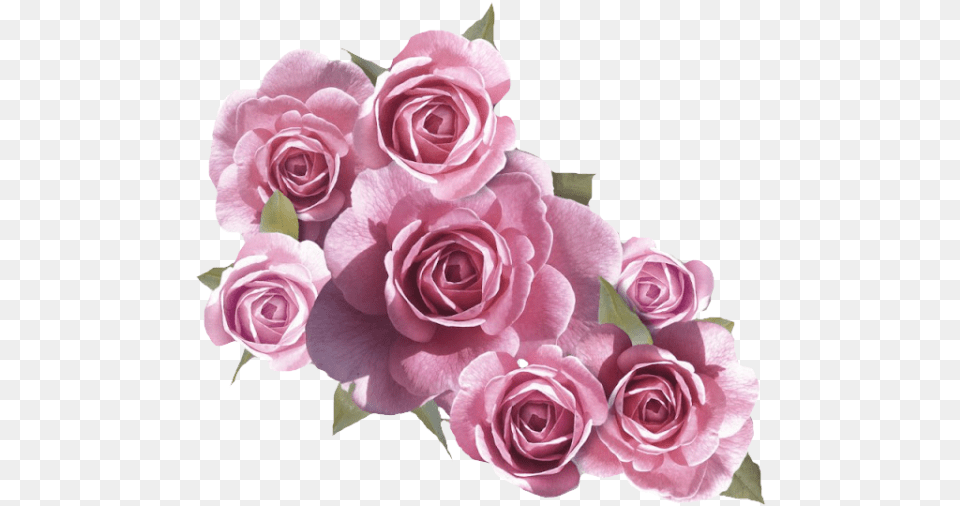 Flores Rosa Clipart Vectors Psd Happy Mothers Day Instagram Story, Flower, Flower Arrangement, Flower Bouquet, Plant Free Png Download