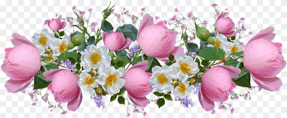 Flores Rosas Rosa Blanco Acuerdo Perfume Jardn Flower Pink White, Flower Bouquet, Plant, Flower Arrangement, Rose Png Image