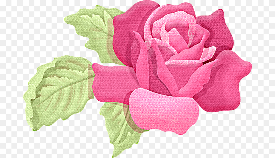 Flores Shabby Chic, Flower, Plant, Rose, Petal Free Transparent Png