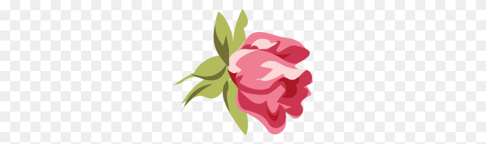 Flores Stationery Pink Roses Flowers, Carnation, Flower, Petal, Plant Png